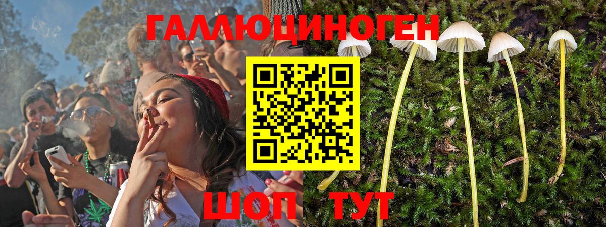 Кубинка  Галлюциногенные грибы Cubensis  Вход с VPN 