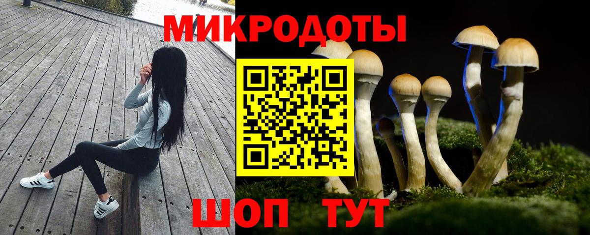 Галлюциногенные грибы мухоморы Кубинка
